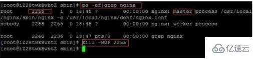 Linux系统中怎么启动nginx