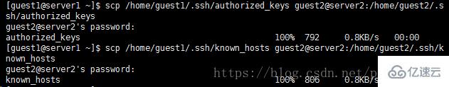 Linux系统中设置SSH免密登录的解决方案是什么