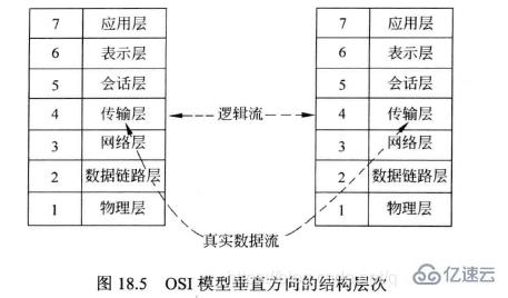 Linux系统编程中的网络编程基础是什么