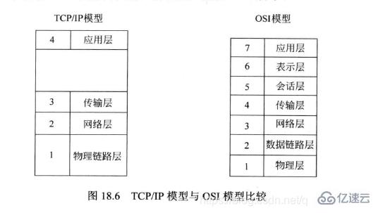 Linux系统编程中的网络编程基础是什么