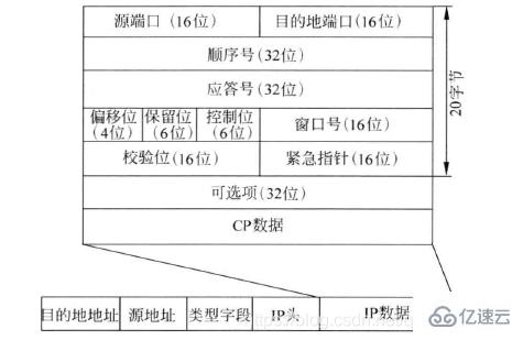 Linux系统编程中的网络编程基础是什么