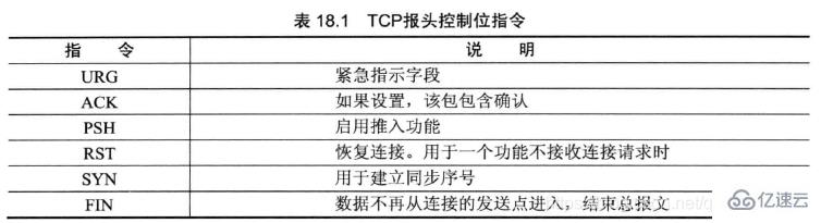 Linux系统编程中的网络编程基础是什么