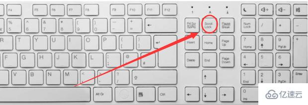 电脑的键盘方向键无法移动单元格状态怎么办