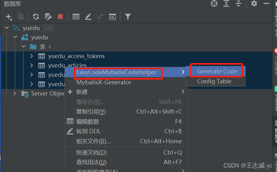 如何使用EasyCode生成springboot+mybatis基础程序