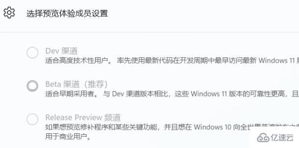 win11体验成员如何设置