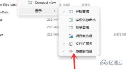 win11隐藏文件打开方法