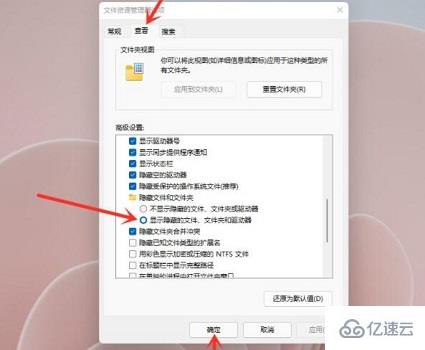 win11隐藏文件打开方法