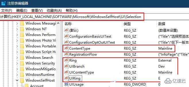 如何获取win11预览内测版