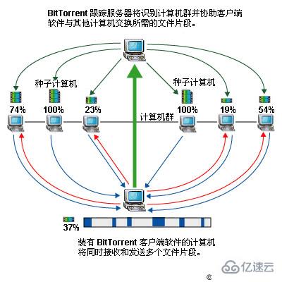 BitTorrent是什么