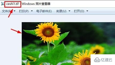 windows中TIF格式怎么打开