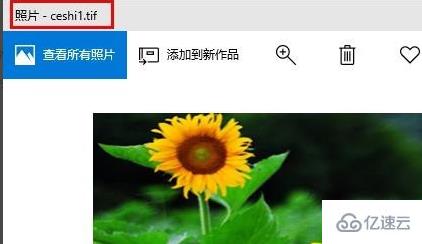 windows中TIF格式怎么打开