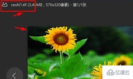 windows中TIF格式怎么打开