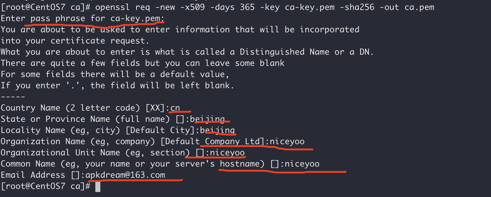Docker如何开启安全的TLS远程连接访问