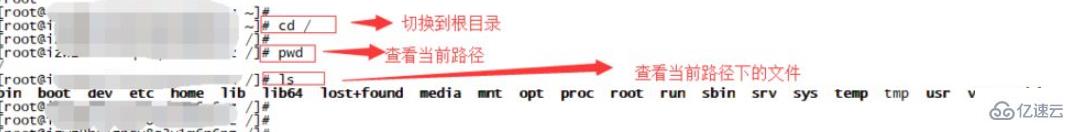 linux怎么查询目录