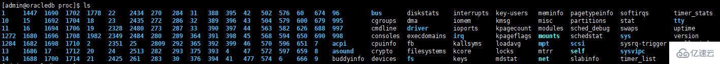 linux在/下的定義和規范是什么