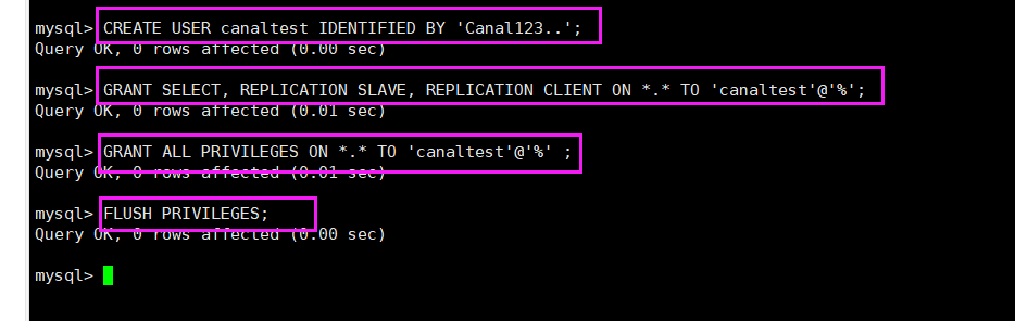 Springboot2.3.x整合Canal的方法