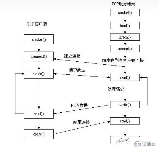 linux socket怎么使用