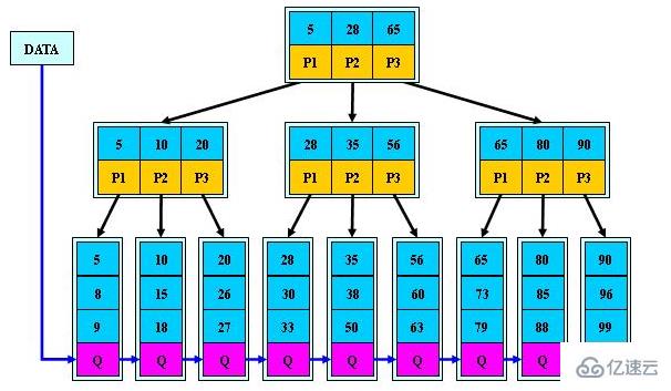 MySQL數(shù)據(jù)庫(kù)基礎(chǔ)知識(shí)點(diǎn)有哪些