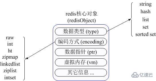 Redis中的5種數(shù)據(jù)類型怎么應(yīng)用