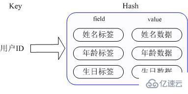 Redis中的5種數(shù)據(jù)類型怎么應(yīng)用