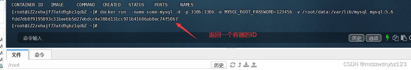 Docker如何启动mysql服务