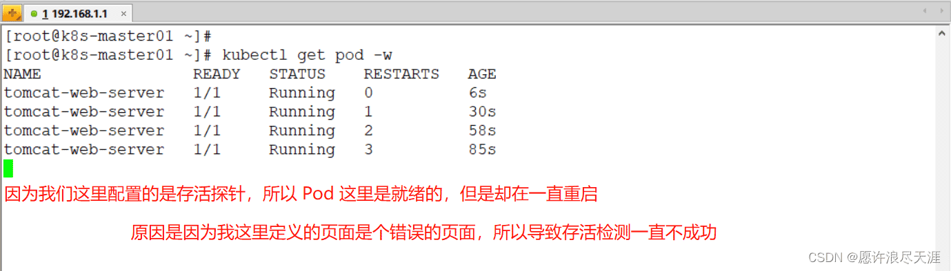 Kubernetes探针怎么用