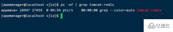 linux如何看tomcat是否运行