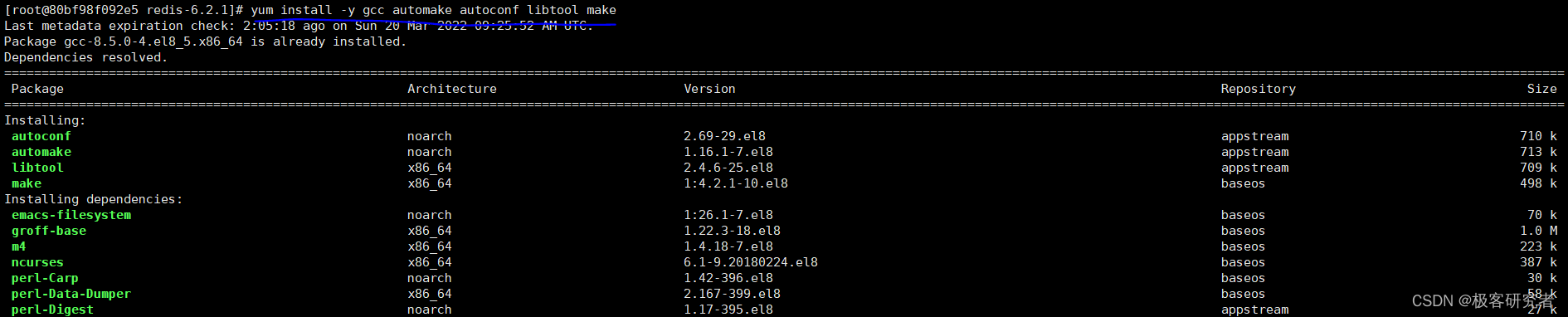 在Centos 8.0中如何安装Redis服务器