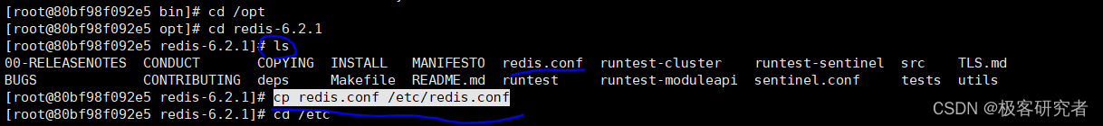 在Centos 8.0中如何安装Redis服务器