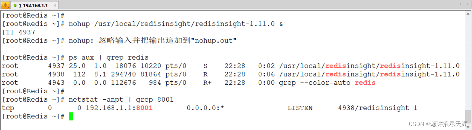 Redis监控工具RedisInsight怎么安装与使用