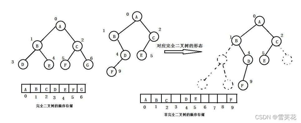 C语言中二叉树的示例分析