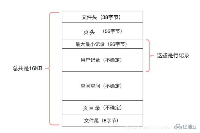 MySQL索引结构是怎么样的