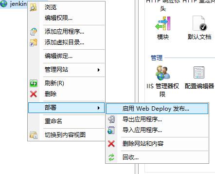 Jenkins怎么编译.NET Core和.NET Framework项目并远程部署到IIS