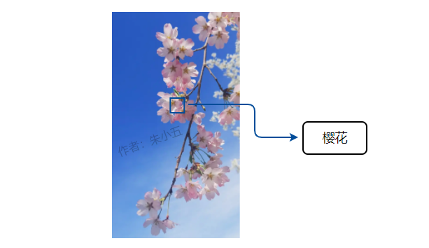 Python怎么实现识别花卉种类