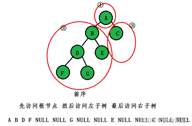 C语言二叉树的概念是什么及怎么使用