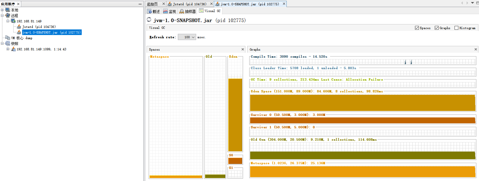 Jvisualvm监控远程SpringBoot项目的方法