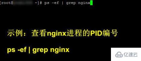 linux中ppid的概念是什么
