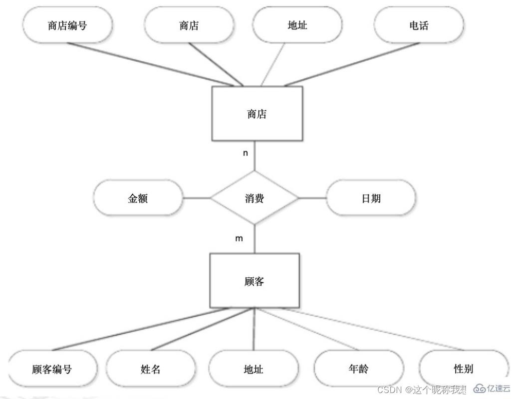 SQL server数据库应用系统的知识点有哪些