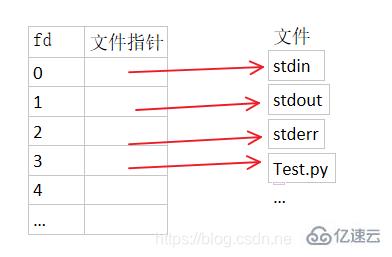 linux fd指的是什么