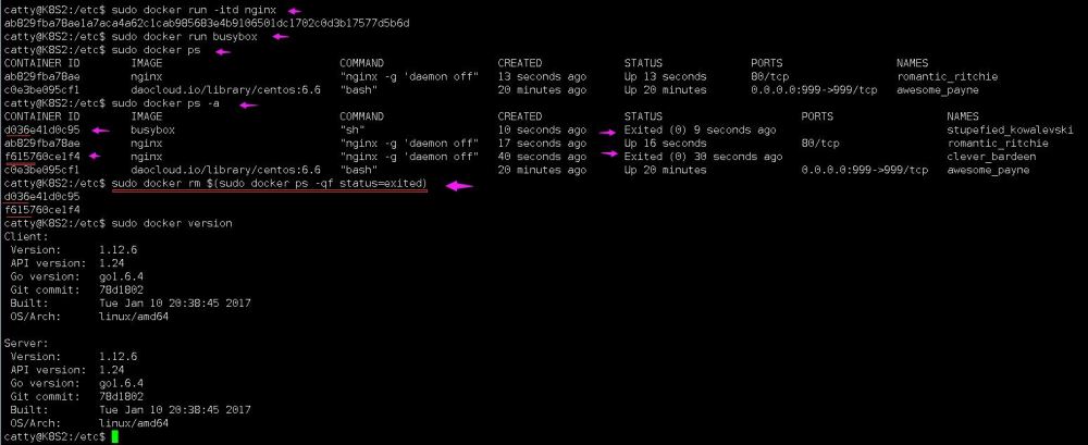 怎么批量刪除Docker中已經(jīng)停止的容器