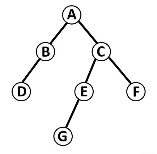 C++樹與二叉樹實(shí)例分析