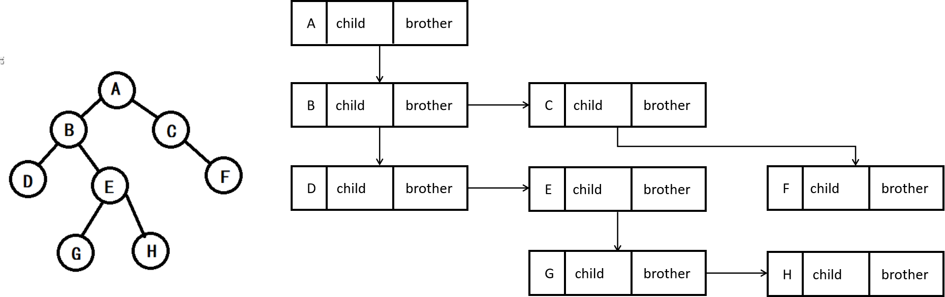 C++樹與二叉樹實(shí)例分析