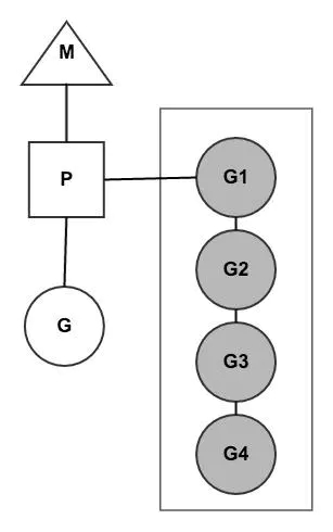 Golang CSP并发机制及使用模型是什么