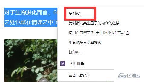 windows网页文字不能复制如何解决