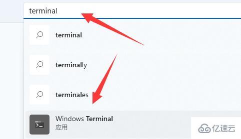 win11提示找不到wt.exe如何解决