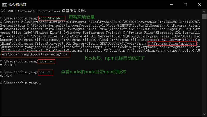 npm怎么安装与使用  npm 第8张