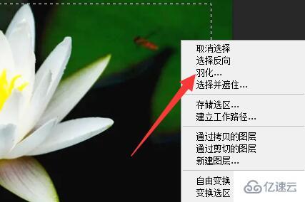 ps图片边缘虚化怎么弄  ps 免费节点分享 第2张