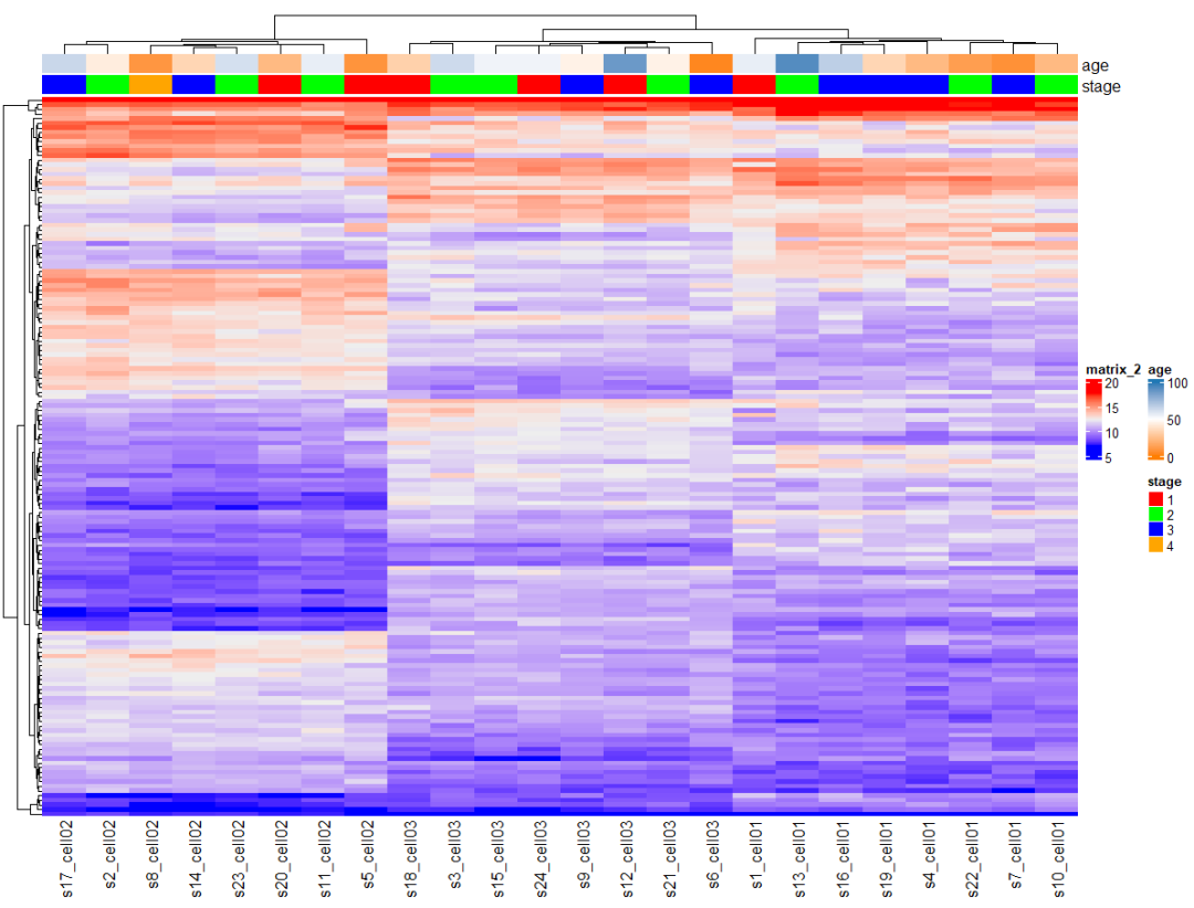 怎么使用R语言ComplexHeatmap绘制复杂热图heatmap