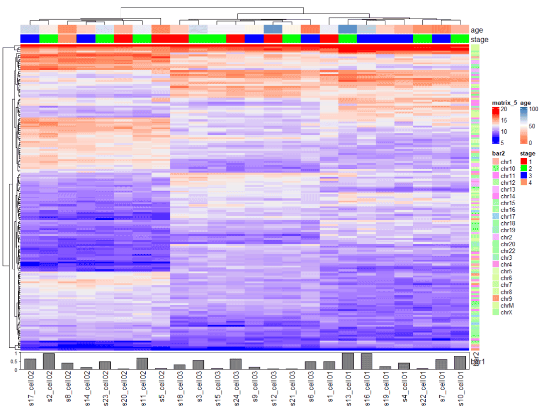 怎么使用R语言ComplexHeatmap绘制复杂热图heatmap