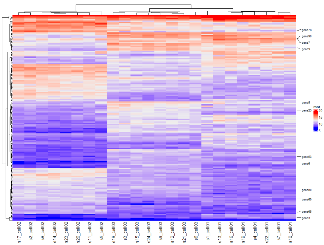 怎么使用R语言ComplexHeatmap绘制复杂热图heatmap